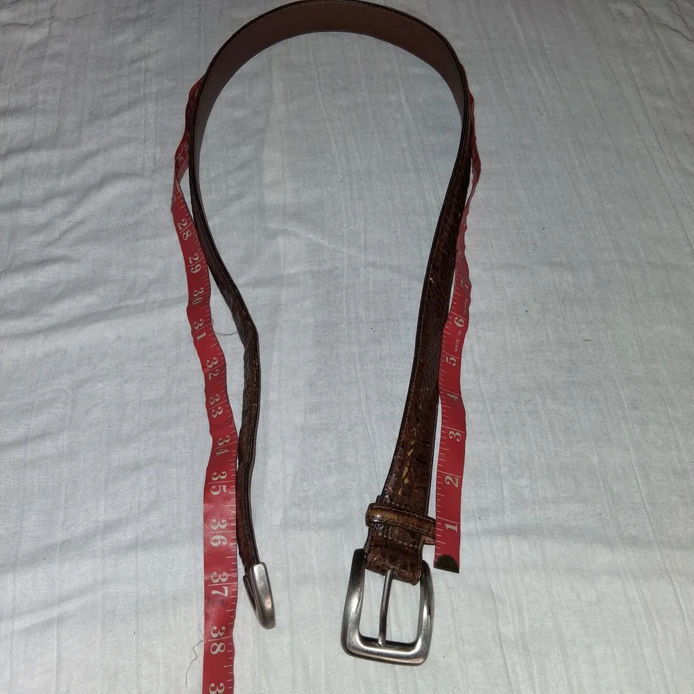 Brighton Brown Leather Belt with Silver Buckle - Picture 10 of 10